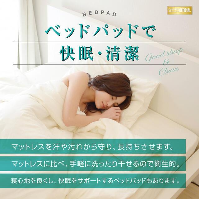 フランスベッド（FRANCEBED） お得な2枚セット オールシーズン対応