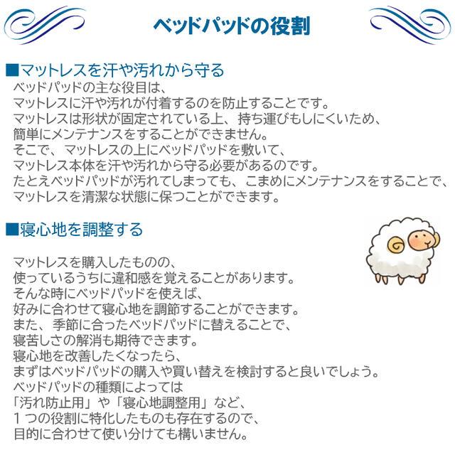 フランスベッド（FRANCEBED） お得な2枚セット オールシーズン対応