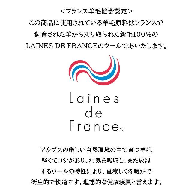 送料無料 フランスベッド キャメル＆ウールベッドパット シングル ふたこぶラクダの産毛 やわらかめ 2層構造 キャメルわた 4角滑り止め付 ずれにくい
