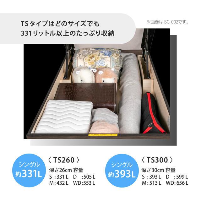 フランスベッド（FRANCEBED） ベッド シングル フレームのみ BG-001