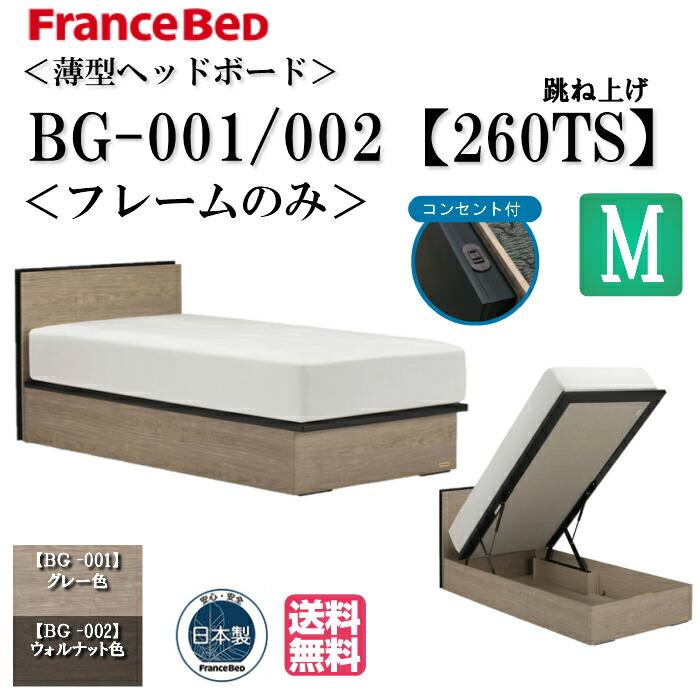 フランスベッドフレーム　セミダブル フランスベッド（FRANCEBED） ベッド セミダブル フレームのみ BG-001