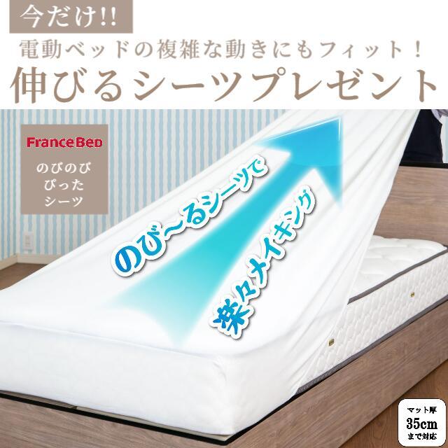 フランスベッド（FRANCEBED） 電動ベッド レステックス-W01 RX-THF