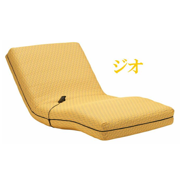 フランスベッド（FRANCEBED） 開梱設置無料 専用カバー付 電動
