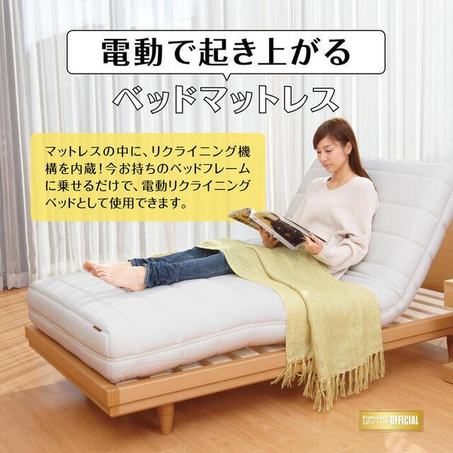 フランスベッド（FRANCEBED） 開梱設置無料 専用カバー付 電動