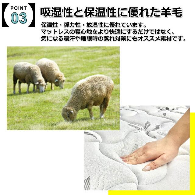 【新品】 フランスベッド ダブル マットセット スコット レッグ EFMHマットレス キャビネット コンセント ミディアムハード 羊毛入り 防菌防臭 防ダニ加工 組立設置無料 【SKC1851036451】(65550円)