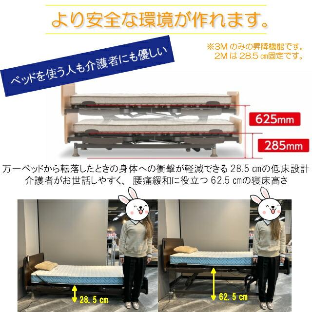 フランスベッド（FRANCEBED） マット付 レステックス-01FN 3モーター