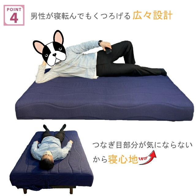 フランスベッド（FRANCEBED） ソファベッド スイミーPlus スイミー
