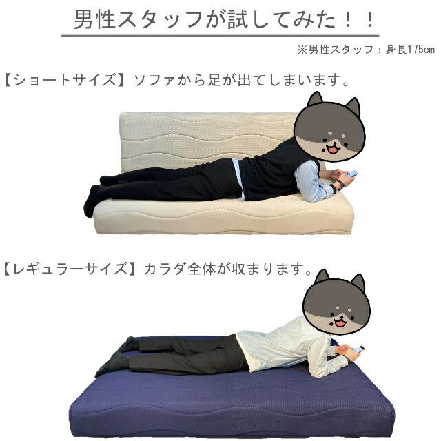 フランスベッド（FRANCEBED） ソファベッド スイミーPlus スイミー