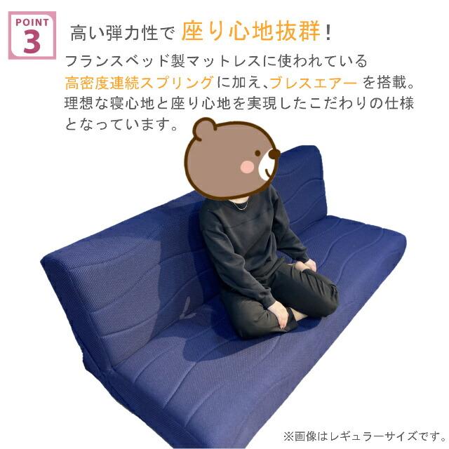 フランスベッド（FRANCEBED） ソファベッド スイミーPlus スイミー