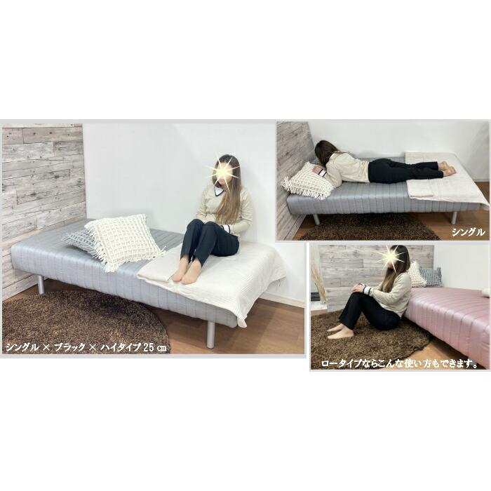 フランスベッド（FRANCEBED） 脚付きマットレス FBM−801DX