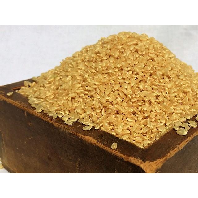 令和5年産 ササニシキ 玄米30kg 農薬・化学肥料不使用 精米無料（3分
