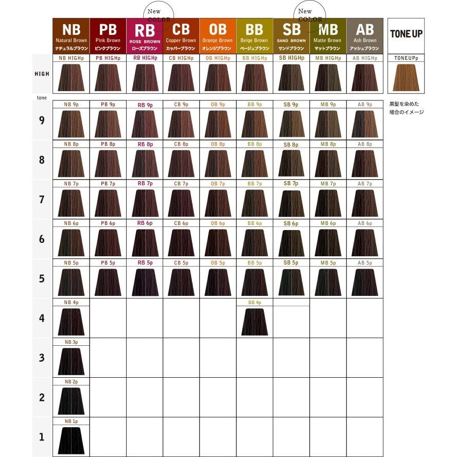 caradeco 中野製薬 キャラデコ パブェ ベーシックゾーン アッシュ