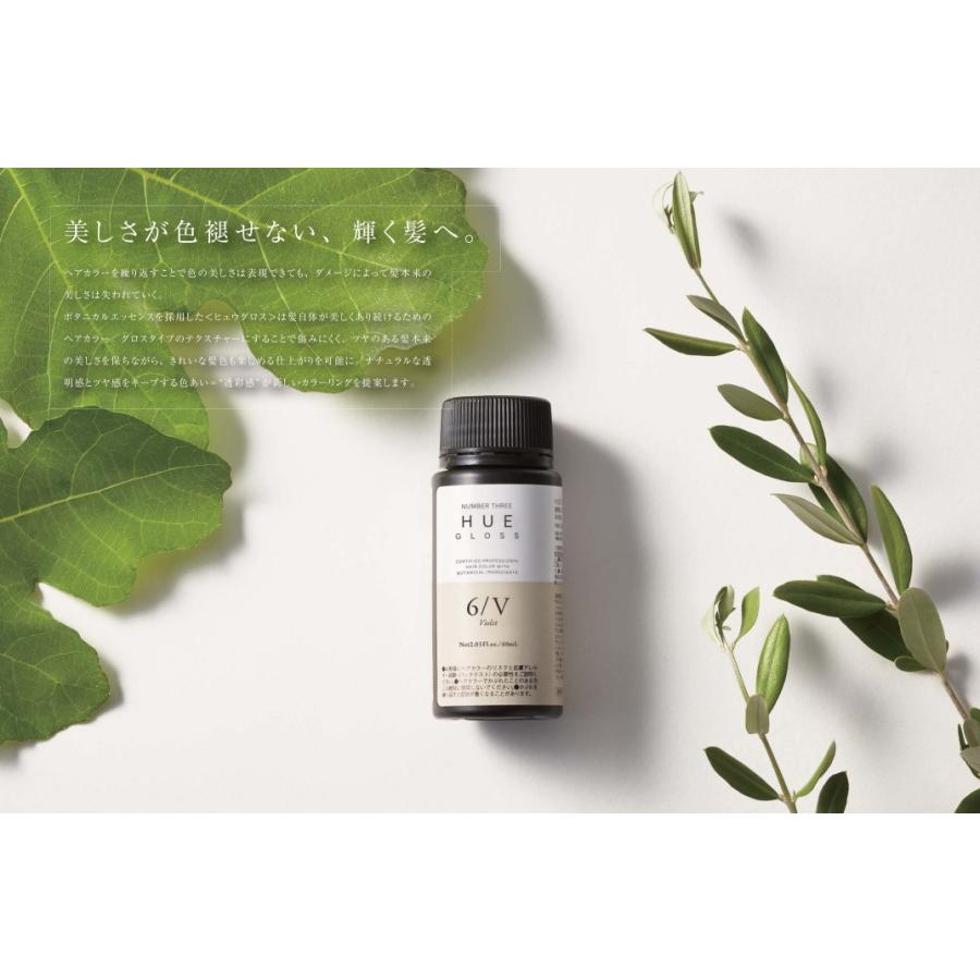 HUE ナンバースリー ヒュウ グロス 9/WG 60ml(1剤) : 愛らんど