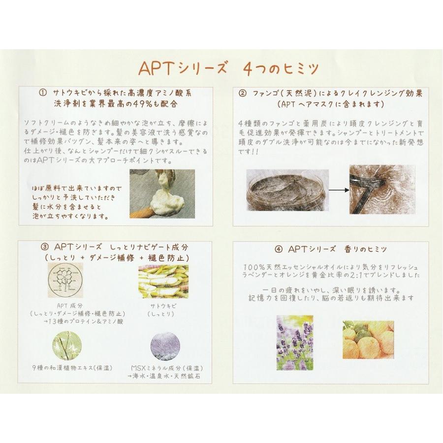 和漢彩染 十八番 APTヘアソープ 400ml : 愛らんどびゅーてぃ - 通販 