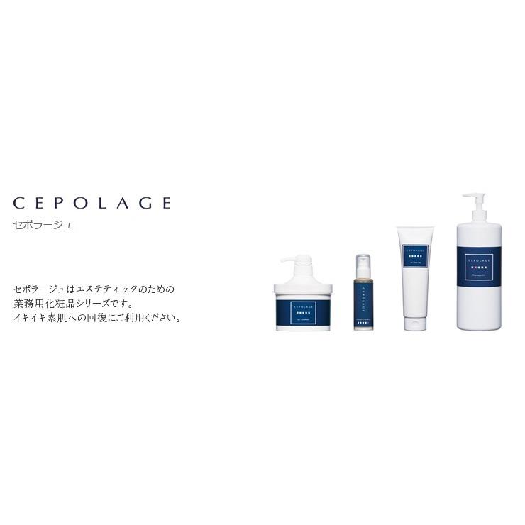 Cepolage セポラージュ リフレッシュパウダー 200g|islandbeauty|02