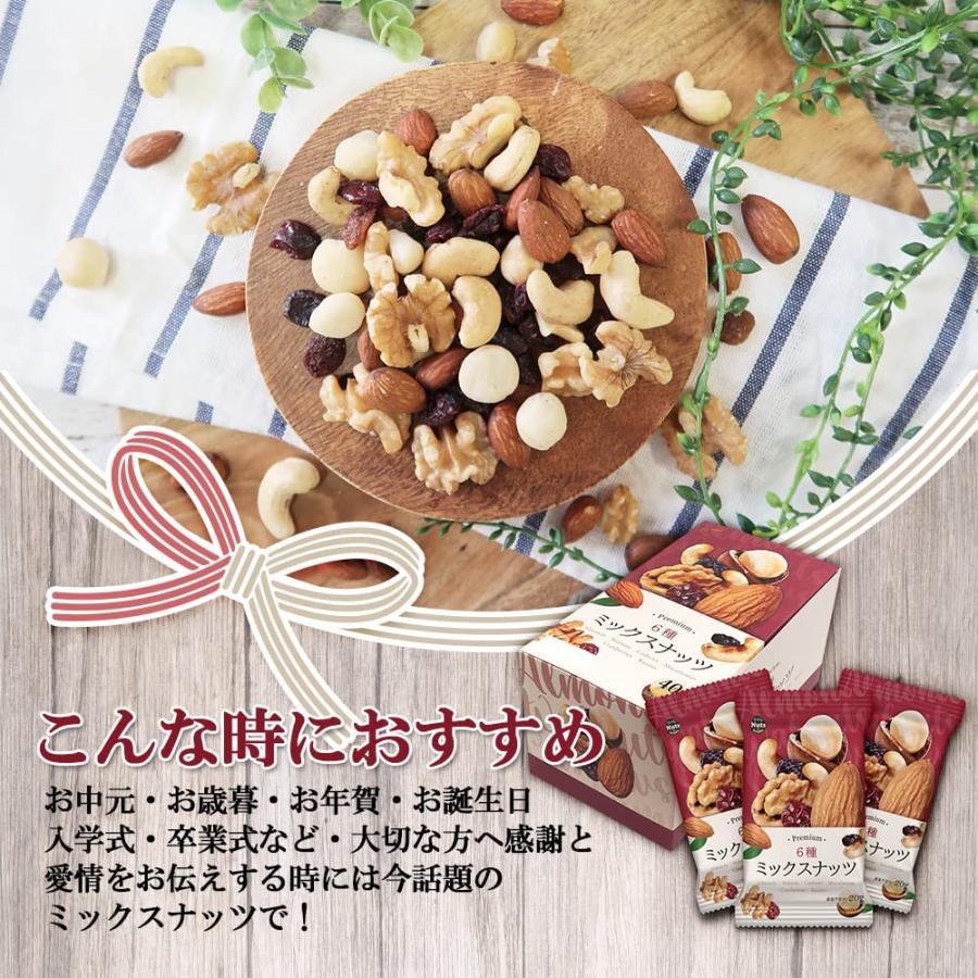 プレミアム 6種ミックスナッツ (20gx40袋) 無塩 香料・保存料不使用