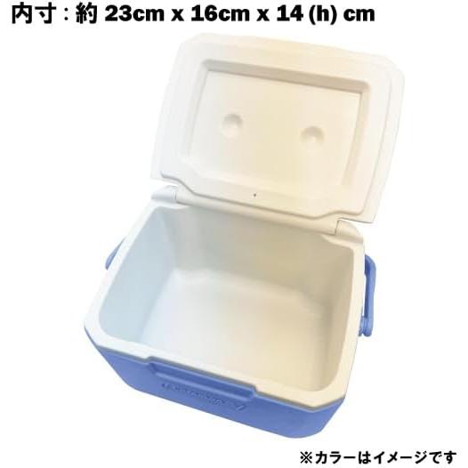 コールマン(Coleman)クーラボックス テイク6（デイドリーム）釣り