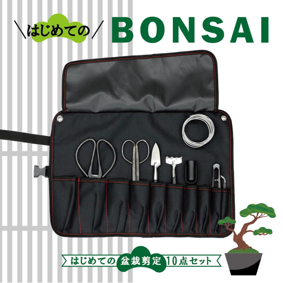 もう迷わない！【初めての盆栽セット 】盆栽用品10点セット 盆栽を