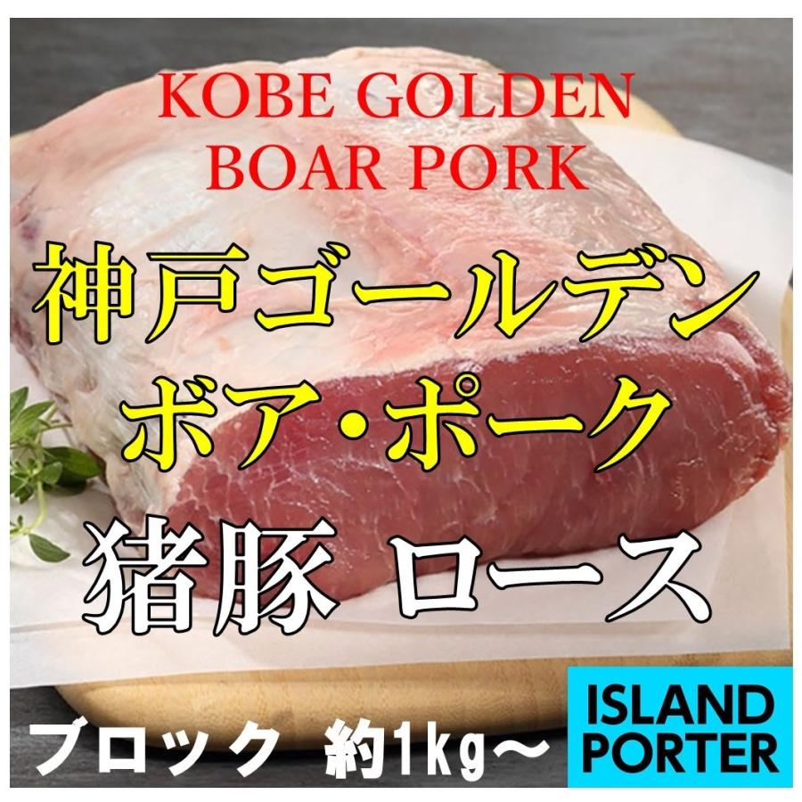 誠実 淡路島ポーク 猪豚 ロース ブロック 格安SALEスタート 約1kg
