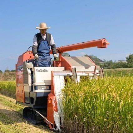 米 お米 玄米 15kg ふさおとめ 令和5年産 本州四国 送料無料 紙袋 綺麗仕上 異物除去 石抜き済｜isobekomeya｜06