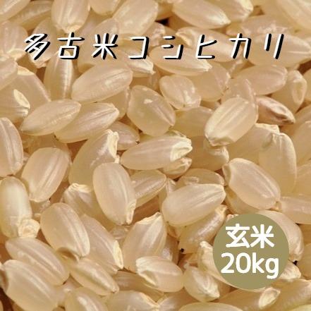 古古米 飼料用 24キロ 精米済 (ひのひかり) 古古米 飼料用 24キロ 精米