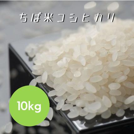 特売！ 令和7年産(100％) ちば米 コシヒカリ 白米 10kg 5kg×2袋 本州四国 送料無料 米 お米 食費 節約 こしひかり 爆買