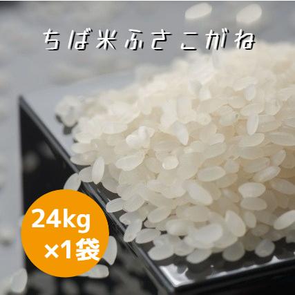 お米24kg 630円/kg 令和7年産 米 お米 ちば米 ふさこがね 白米 24kg ×1袋 本州