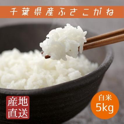 令和7年産 米 お米 ふさこがね 白米 5kg 本州四国 送料無料 : いそべ