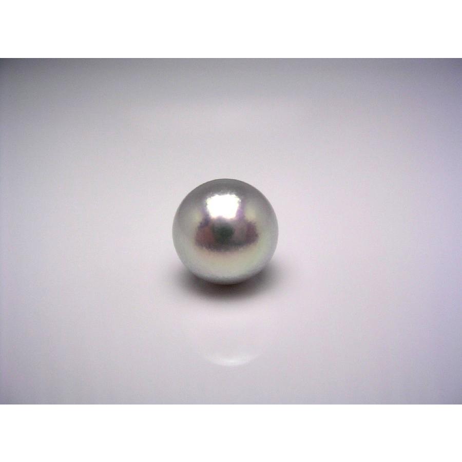 [【即日発送】 ] 43129 (43129)