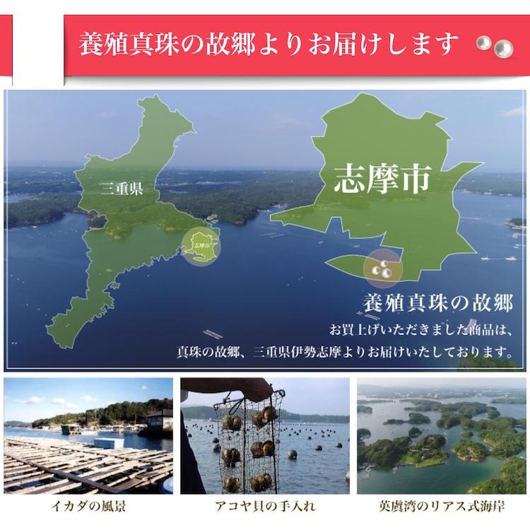 Isowa Pearl 真珠 ネックレス アコヤ真珠 ブルーグレー パール