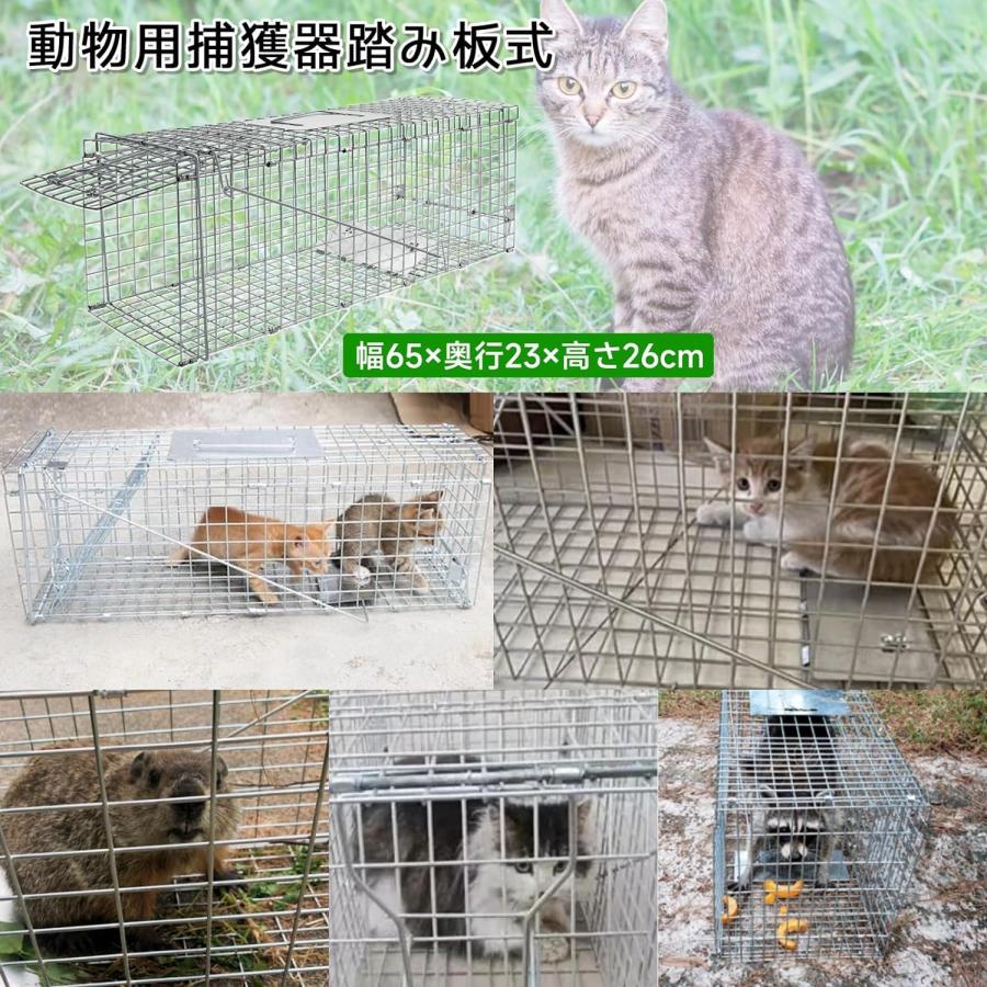 捕獲器 猫 アニマルトラップ トラップ Lサイズ イタチ 駆除 捕獲 踏板