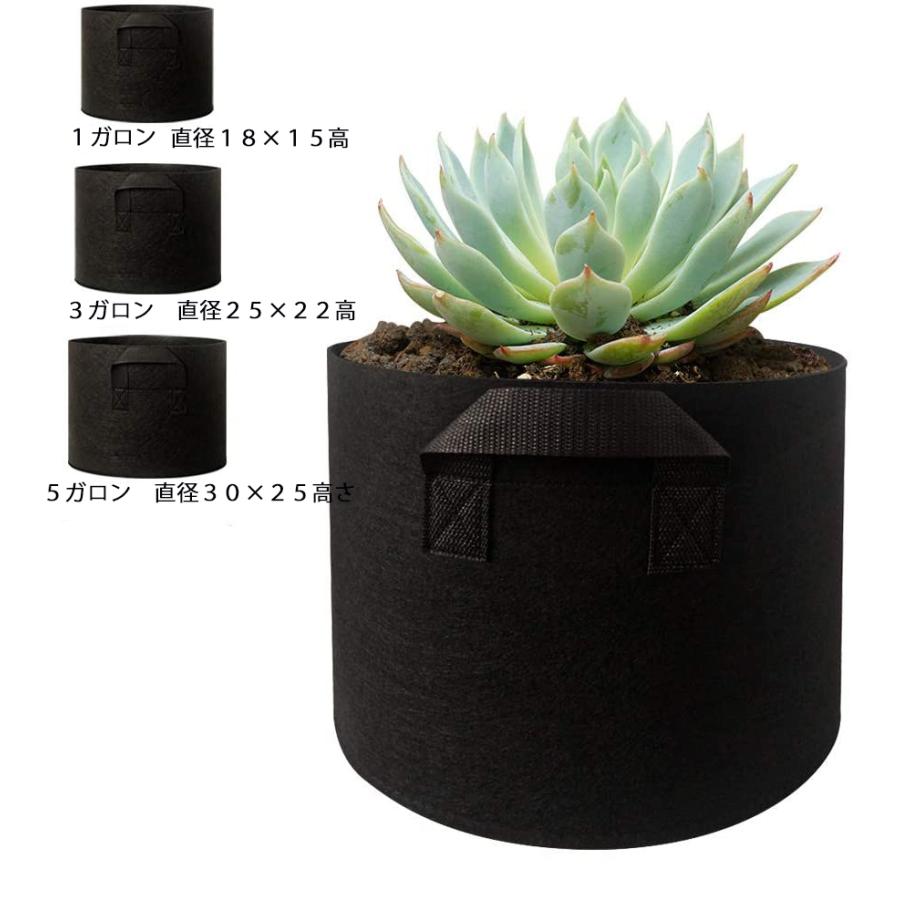 新作アイテム毎日更新 送料0円 1ガロン 3ガロン 5ガロン 6号 18x15