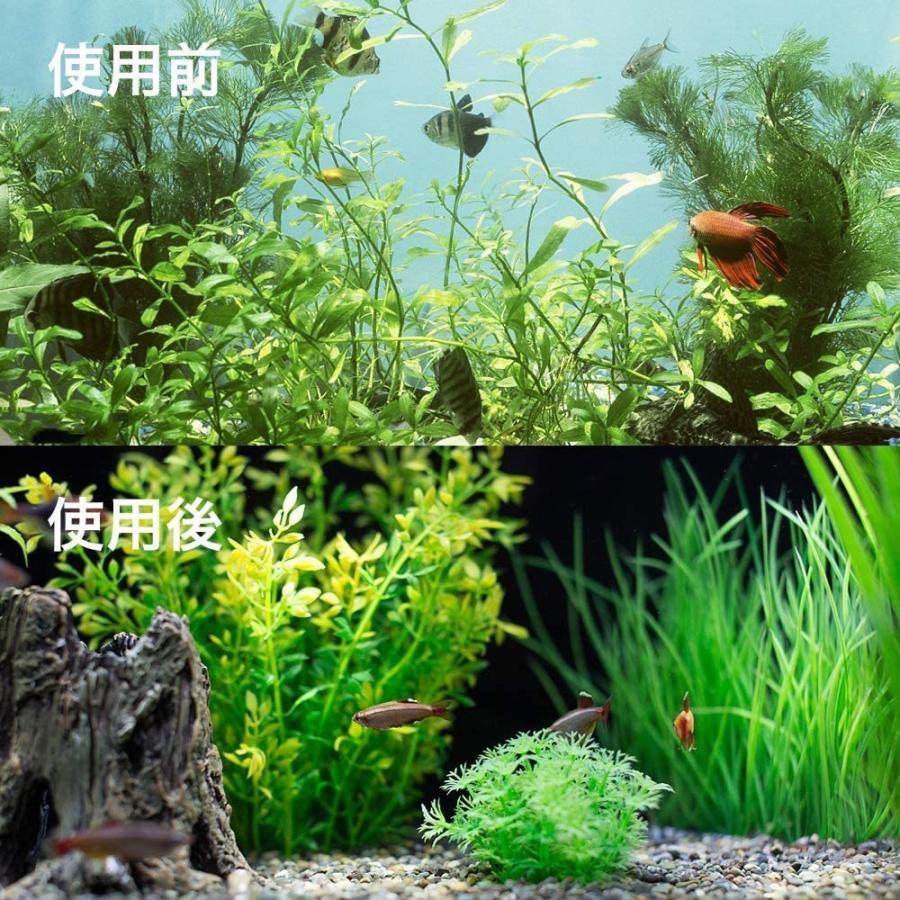 送料390円 プロレイザー スクレーパー 水槽 苔 コケ取り 掃除 68ｃｍ 替刃30枚 付き 苔取り 水草 苔 水槽 掃除 クリーナー 5y6j Isozaki Store 通販 Yahoo ショッピング