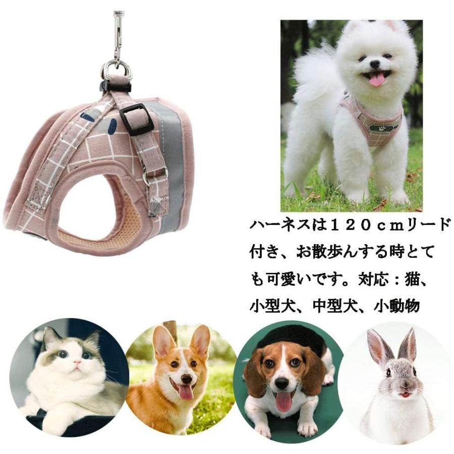 猫 ハーネス ソフト胸あて リードセット リード150cm 超小型犬 全10色 胸囲34 50cm 猫用ハーネス 犬猫兼用 Xs S 抜けない 小型犬