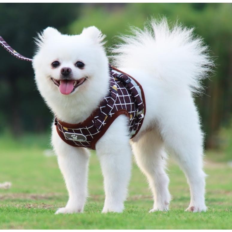後払い手数料無料 犬 猫 ハーネス 犬用 猫用ハーネス 小型犬 中型犬 大型犬 脱げない おしゃれ リード 胴輪 ウェアハーネス Cisama Sc Gov Br