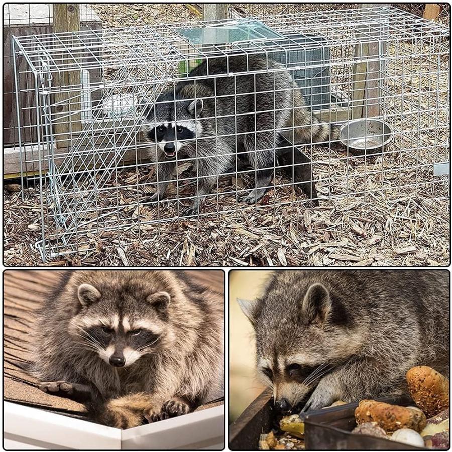 捕獲器 猫 アニマルトラップ トラップ LLサイズ イタチ 駆除 捕獲 踏板