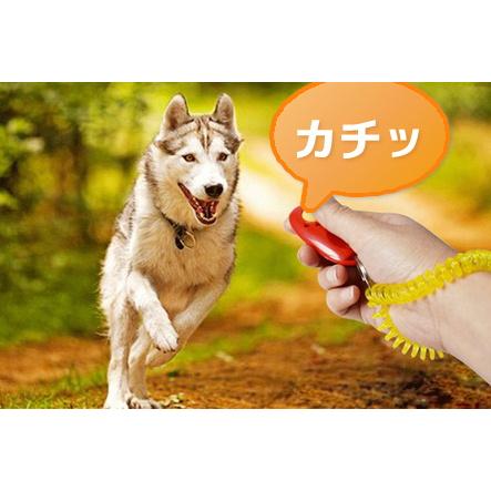 犬 クリッカー しつけ クリッカートレーニング 犬笛 無駄吠え防止 躾 訓練 クリック音 犬 猫 インコ ペット の商品画像
