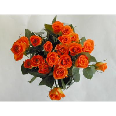 バラの花束本 オレンジ本 本体価格6 000円 Akr N0 Y アイ スペシャル 通販 Yahoo ショッピング