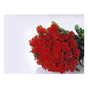 正規品 バラの花束101本 赤バラ 本体価格17 675円 公式の Kuljic Com