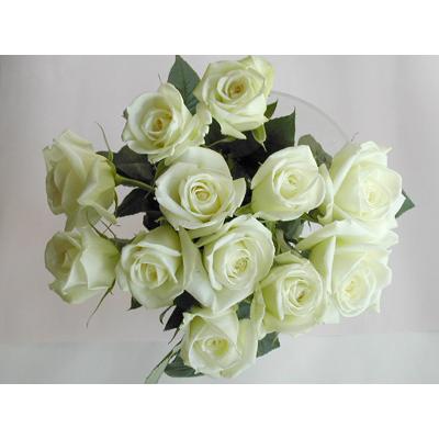 バラ 花束12本 白バラ 本体価格4 0円 Ark W012 Y アイ スペシャル 通販 Yahoo ショッピング