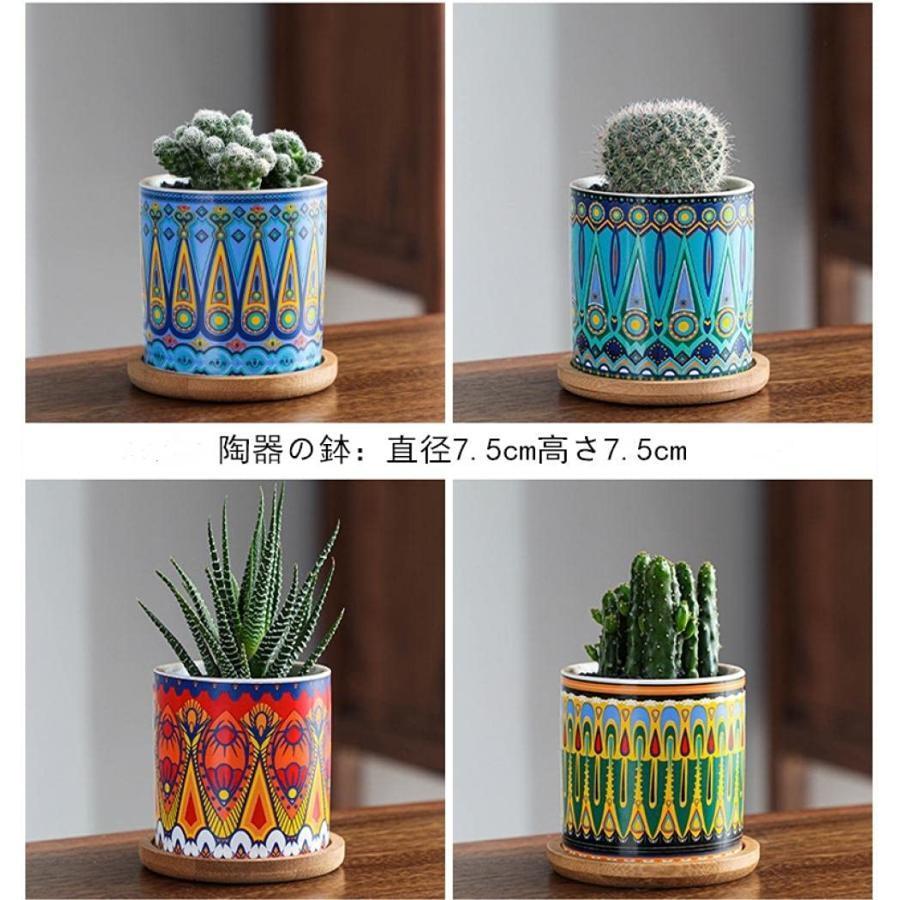 鉢サボテン 植木鉢 陶器鉢 鉢カバー 観葉植物 多肉植物鉢 ミニ観葉植物