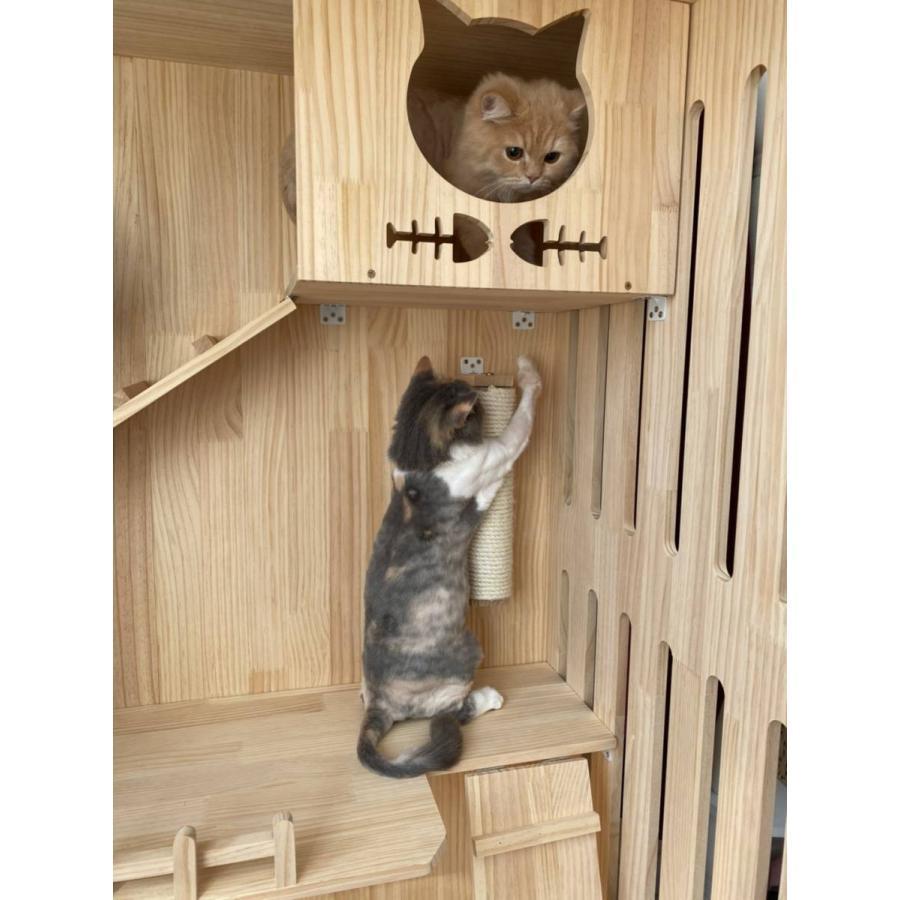 匿名配送 ペットハウス キャットタワー 猫ハウス 猫用 大型猫 ネコタワー動物ハウス【猫の部屋】透明なドア 別荘 猫キャビネット 転倒防止 二つドア 【DGJ1879688592】(66565円)