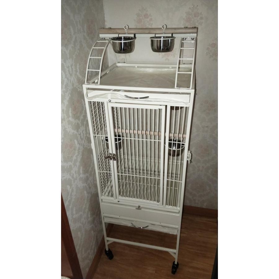 【訳あり品】 バードケージ 鳥の部屋 大型インコ用 鳥籠 鳥かご 飼育 合金 安定性抜群 室内外兼用 組立式 移動便利 おうむ 小鳥 輪付 【ZYX1601058122】(56698円)