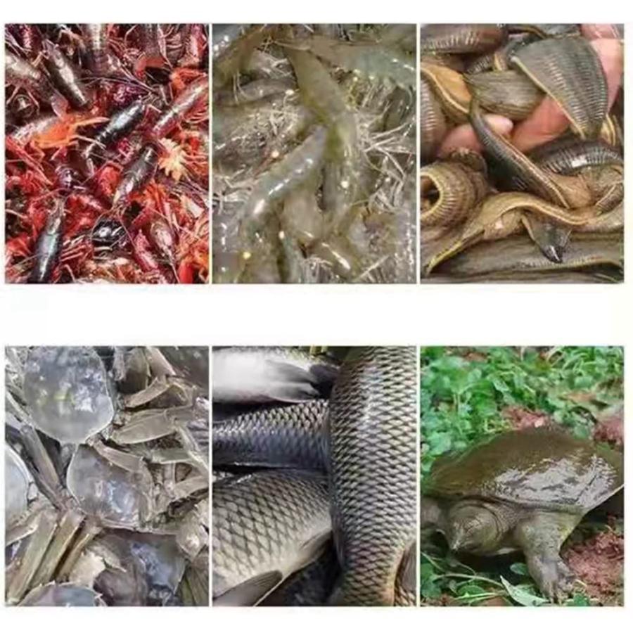 長方形プール キャンバスの魚のいる池 ブラケットで肥厚 アウトドア バルコニー 水産養殖タンク 安全性 プール、 インストールが簡単 子供用プール、 カスタマ 長方形プール キャンバスの魚のいる池 ブラケットで肥厚 アウトドア バルコニー 水産養殖タンク 安全性 プール インストールが簡単 子供用プール カスタマ