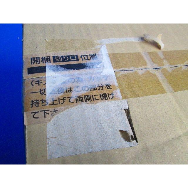 LED非常用照明 ランプ付き 電源ユニット内蔵 昼白色 NNFW41091JLE9 LED非常用照明 ランプ付き 電源ユニット内蔵 昼白色 NNFW41091JLE9