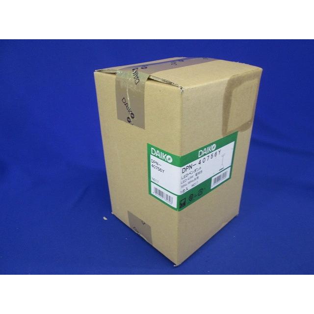 LED小型ペンダント(LED内蔵) LED 4W 電球色 調光不可 DPN-40756Y_2
