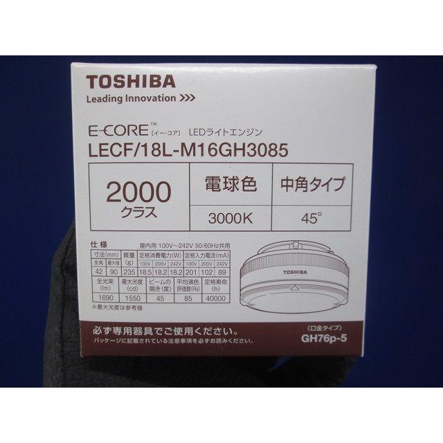 LEDライトエンジン 光源部 2000シリーズ 非調光 中角45 電球色 LECF