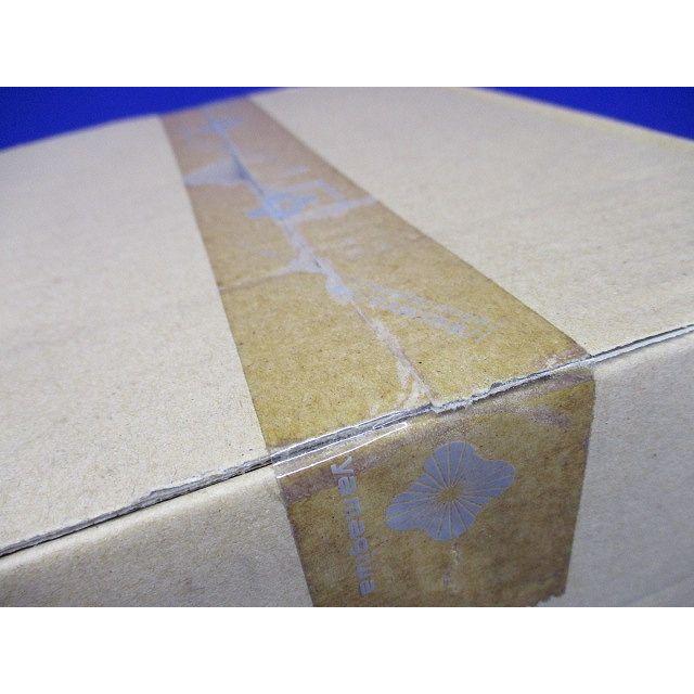 CO8 フラッドライト(フランジ) 電球色 電源付 T1134B : 電材センタ一成  