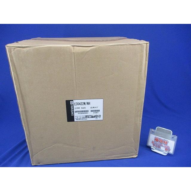 LED投光器 屋外・屋内用 130Wタイプ 広角タイプ ナトリウム色 2100K