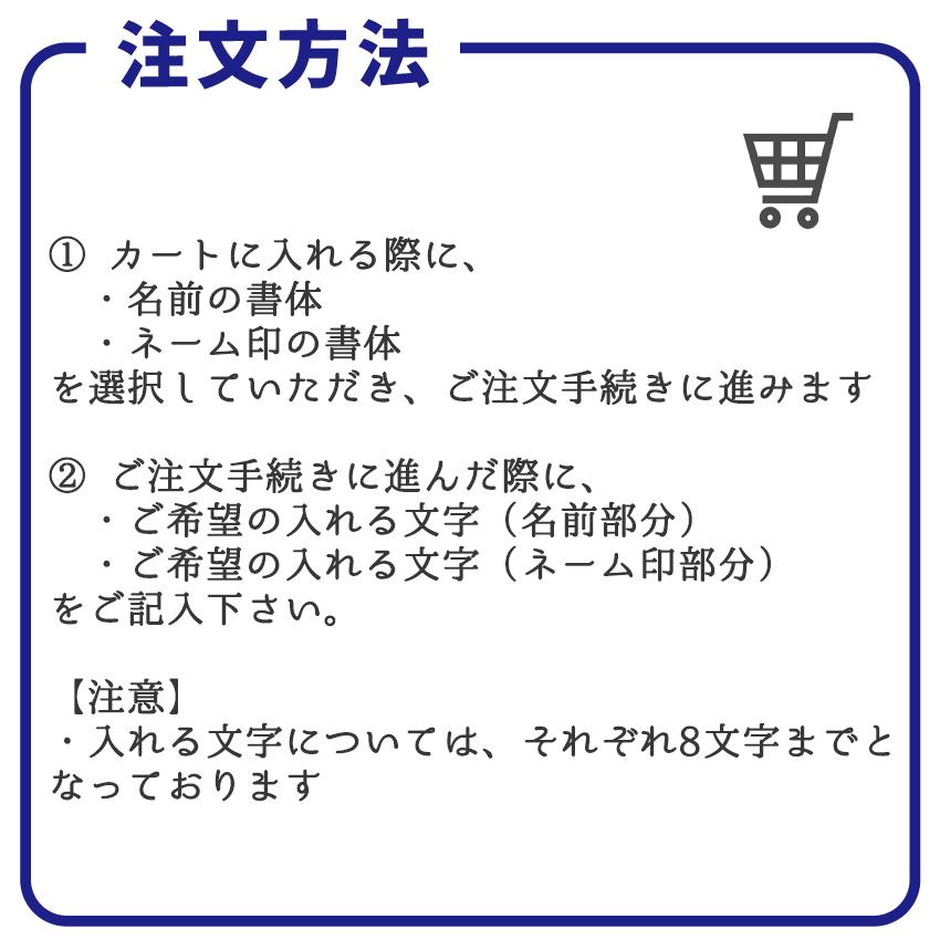 処方箋用 シャチハタ 2色 大型 氏名 + 認印 処方箋 処方せん 薬剤師 スタンプ 簡単 医療 病院 看護師 ナース 薬局 名前 RXスタンプ_2